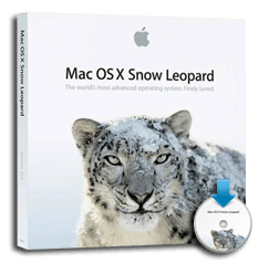 Snow Leopard