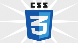 css3 Icon Logo