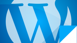 WordPress Icon Logo