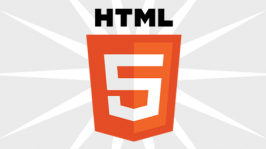 html5 Icon Logo